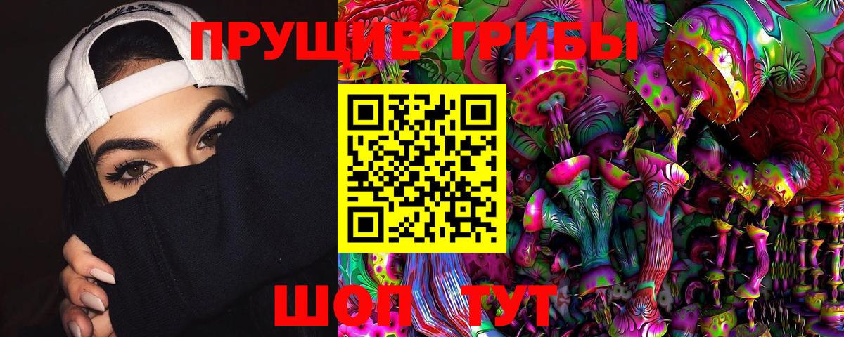 Псилоцибиновые грибы Psilocybine cubensis  сколько стоит  Грозный  Вход с VPN 